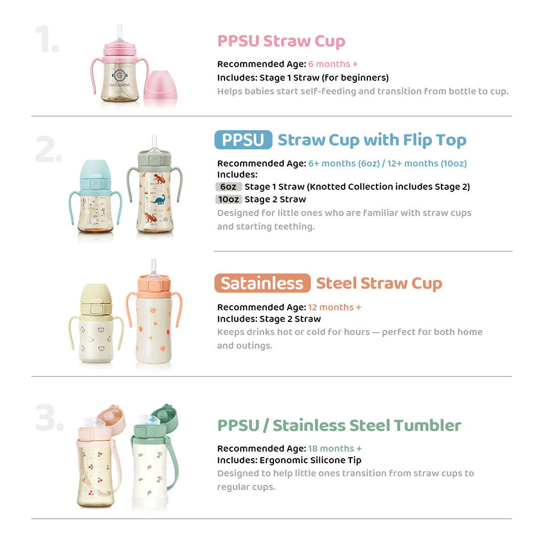 Grosmimi Stainless Steel Kids Tumbler - 10oz (18 Months+) - Zezebaebae