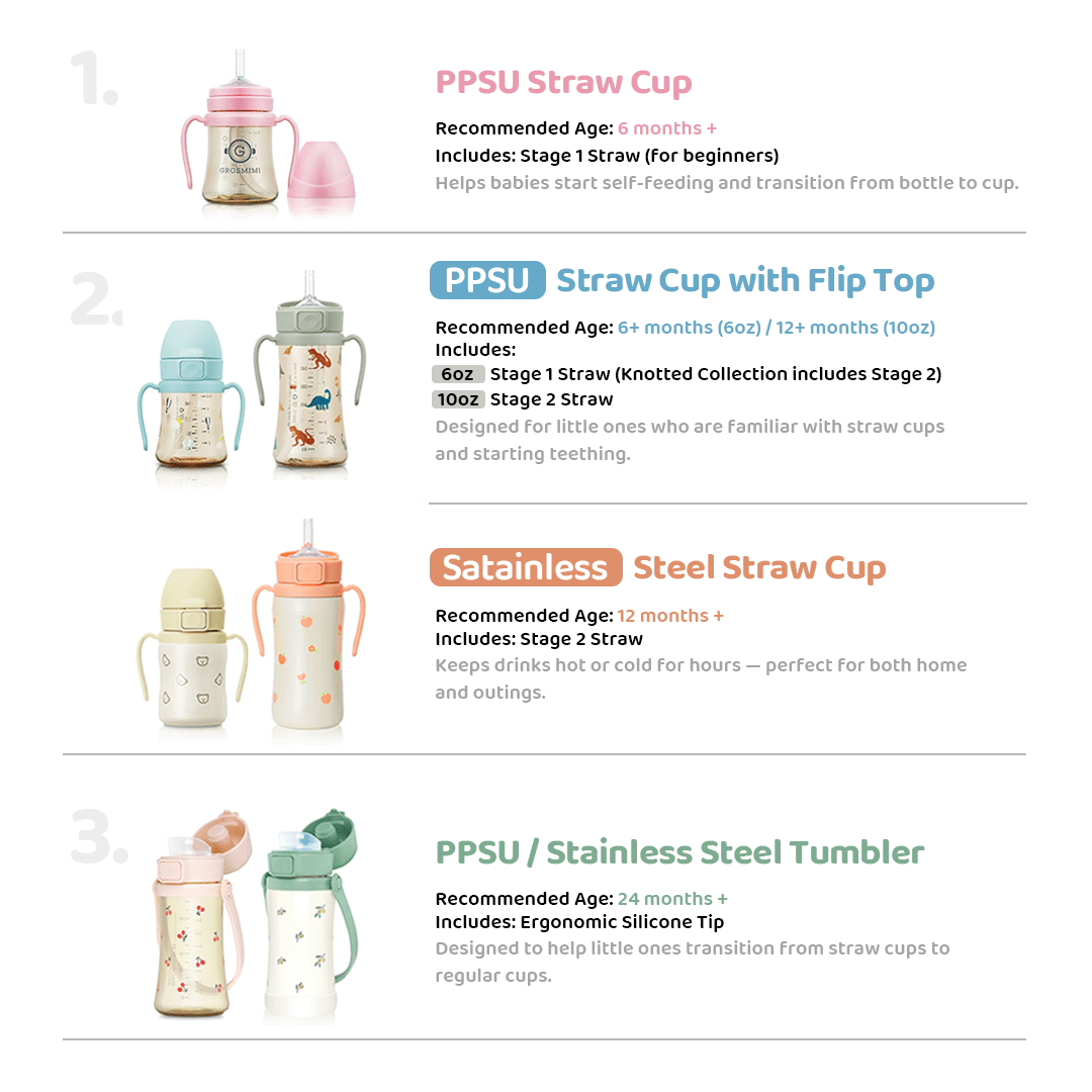 Grosmimi Stainless Steel Tumbler - 10oz (300ml) - Zezebaebae